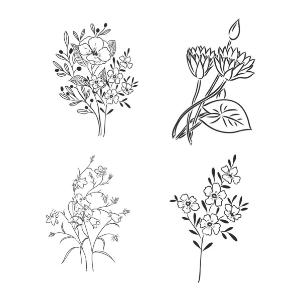 Чернила Карандаш Листья Цветы Яблока Изолированы Линия Искусства Прозрачный Фон — стоковый вектор