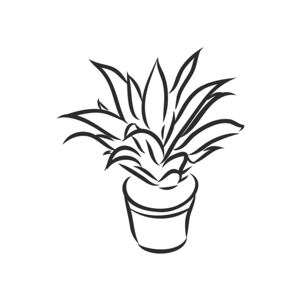 Pot Plants Set Vector Illustration Flowers Pots Drawn Black Line — Stock Vector