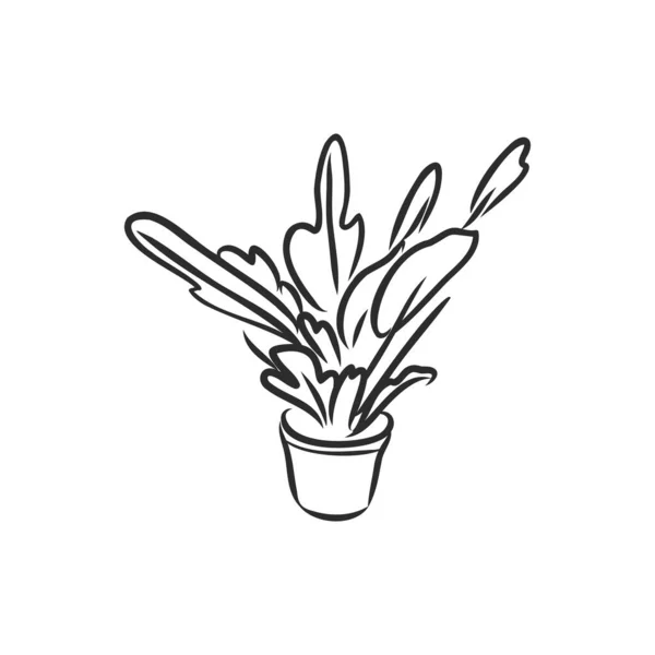 Set Plantes Pot Fleurs Vectorielles Illustration Pots Tracées Ligne Noire — Image vectorielle