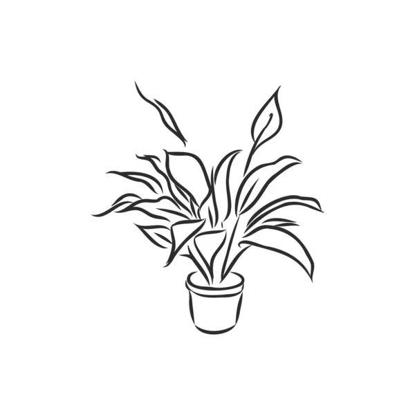 Conjunto Plantas Maceta Flores Ilustración Vectorial Macetas Dibujadas Línea Negra — Vector de stock