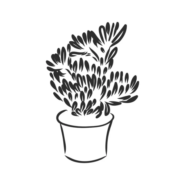 Conjunto Plantas Maceta Flores Ilustración Vectorial Macetas Dibujadas Línea Negra — Vector de stock