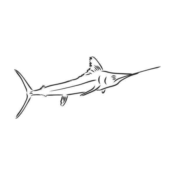 Рука Намальована Рибою Мечем Векторна Ілюстрація Стилі Ескізу Марлін Векторний — стоковий вектор