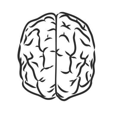Tıbbi tasarım için kişinin beyni. Vektör çizimi. Beyaz arka planda beyin vektörü çizimi