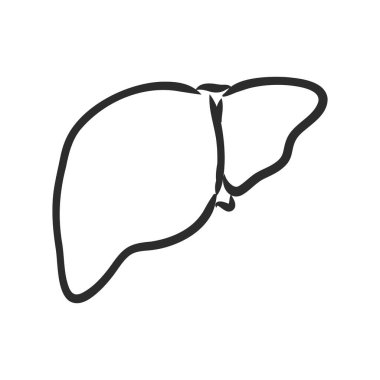 Beyaz arka planda insan karaciğer vektör çizgisi simgesi izole edildi. Detoksifikasyon konsepti. Infographic, web sitesi veya uygulama için insan karaciğer çizgisi simgesi. Beyaz arkaplanda karaciğer ve vektör çizimi