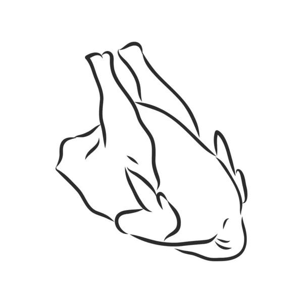 Rohe Türkei Vollkarkasse Frisches Hühnerfleisch Realistische Vector Illustration Isolated Hand — Stockvektor