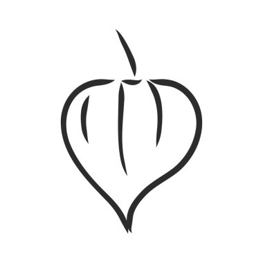 Physalis otototaj vektör çizimi, gri tonlama. physalis vektör çizimi