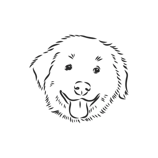 Retrato Cerca Del Perro Sentado Arte Grabado Vectorial Amistoso Cachorro — Archivo Imágenes Vectoriales