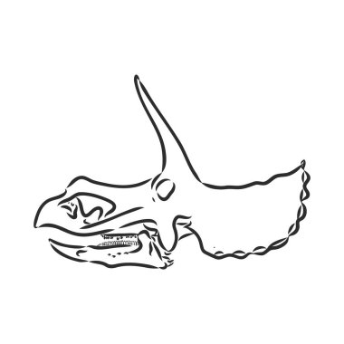 Dinozor iskeleti. Vector Image triceratops iskeleti yeşil arka planda izole edildi. Logo olarak kullanılabilir. Düz çizimler için