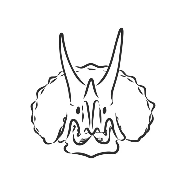 Esqueleto de dinosaurio.Vector Imagen triceratops esqueleto aislado sobre fondo verde.Se puede utilizar como logotipo. Para ilustraciones planas — Vector de stock