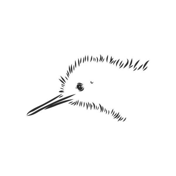 Dessin à la main, croquis, illustration de dessin animé de kiwi — Image vectorielle
