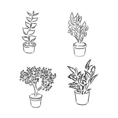 Çömlek bitkileri seti, çömlek içindeki vektör illüstrasyon çiçekleri beyaz arka plan üzerine siyah çizgi çizilmiş, el yapımı tasarım elementleri.