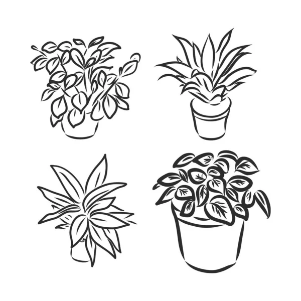 Conjunto de plantas de maceta, flores de ilustración vectorial en macetas dibujadas en línea negra sobre un fondo blanco, elementos de diseño dibujados a mano. — Vector de stock