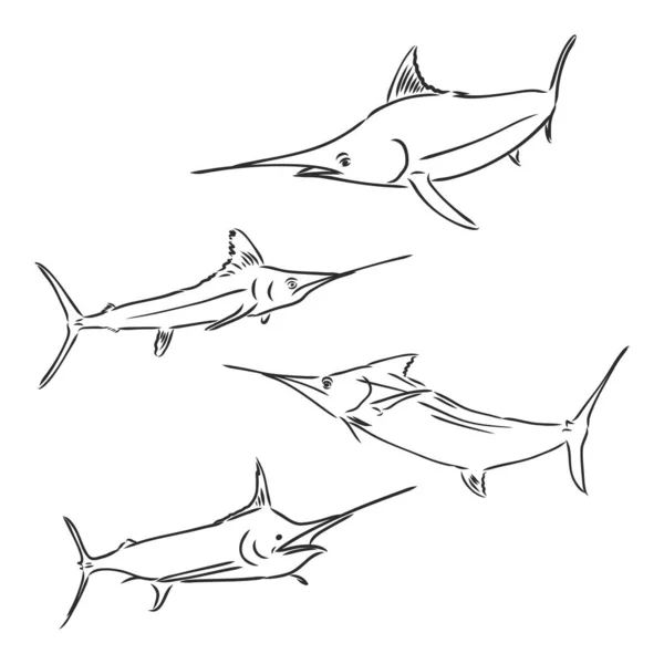 Illustration vectorielle de la pêche au thon. L'illustration vectorielle peut être utilisée pour créer un logo et un emblème pour les clubs de pêche, les estampes, le web et d'autres métiers. — Image vectorielle