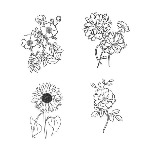 Vettore fiore di peonia isolato su sfondo bianco. Elemento per il design. Linee e tratti di contorno disegnati a mano. — Vettoriale Stock