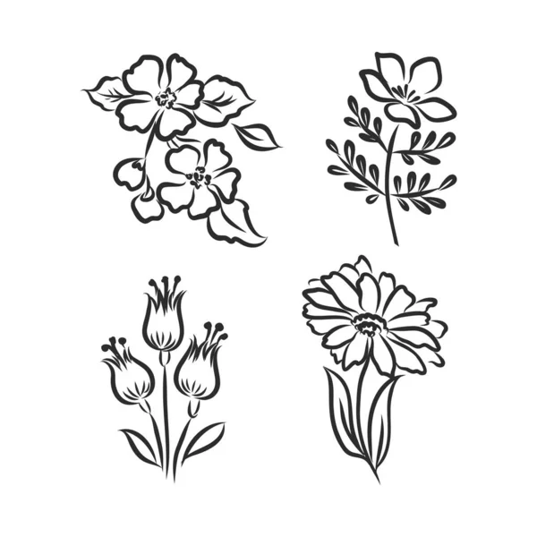 Vektor pion blomma isolerad på vit bakgrund. Element för design. Handdragna konturlinjer och slaglängder. — Stock vektor