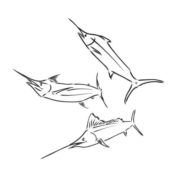 Illustration vectorielle de la pêche au thon. L'illustration vectorielle peut être utilisée pour créer un logo et un emblème pour les clubs de pêche, les estampes, le web et d'autres métiers. — Image vectorielle
