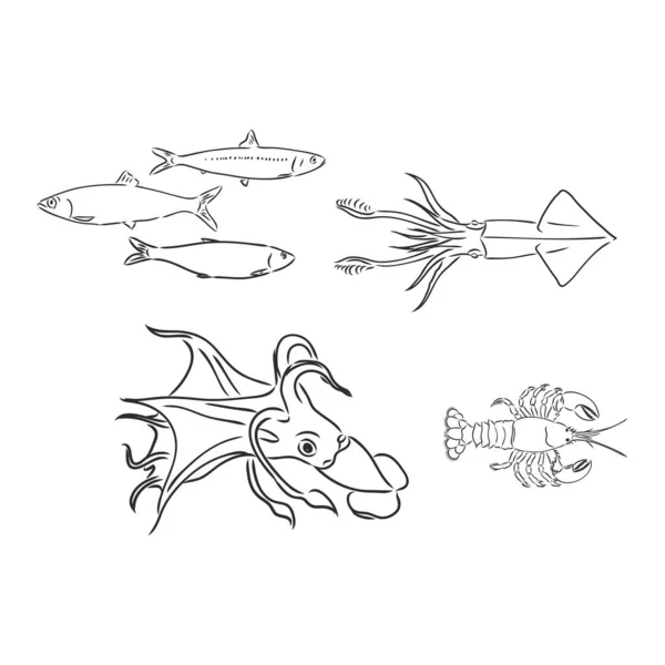 Naadloos patroon gemaakt met onderwaterplanten en dieren. Handgetekende doodle monochrome zeesterren, schelpen, inktvissen, vissen, zeepaardjes en algen. Vectorschets. — Stockvector