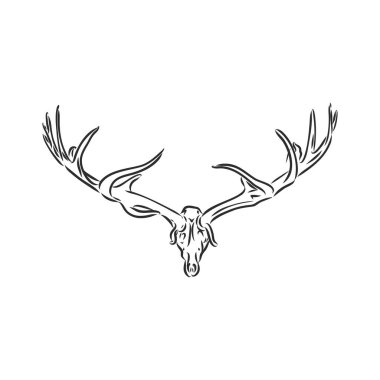 Beyaz arka planda izole edilmiş megaloceros geyik iskeletinin vektör antika gravür çizimi