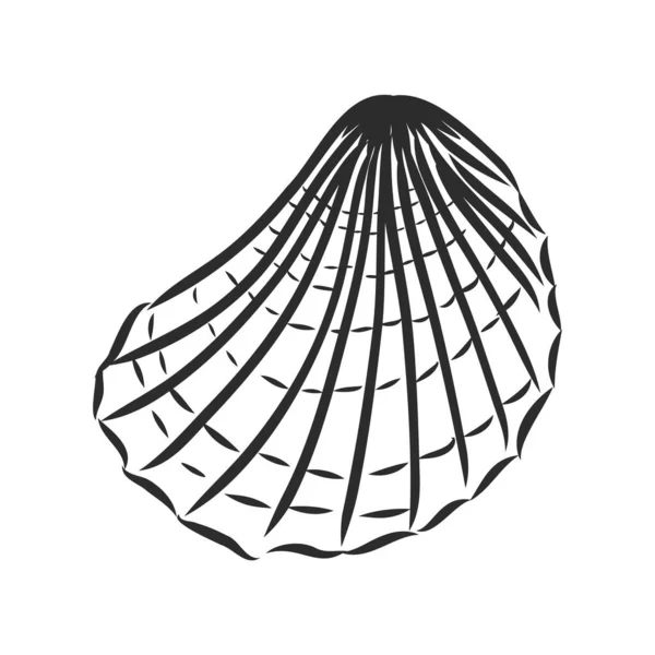 Vektor Muschel oder Meeresmuscheln Linie Symbole auf weißem Hintergrund eingestellt — Stockvektor