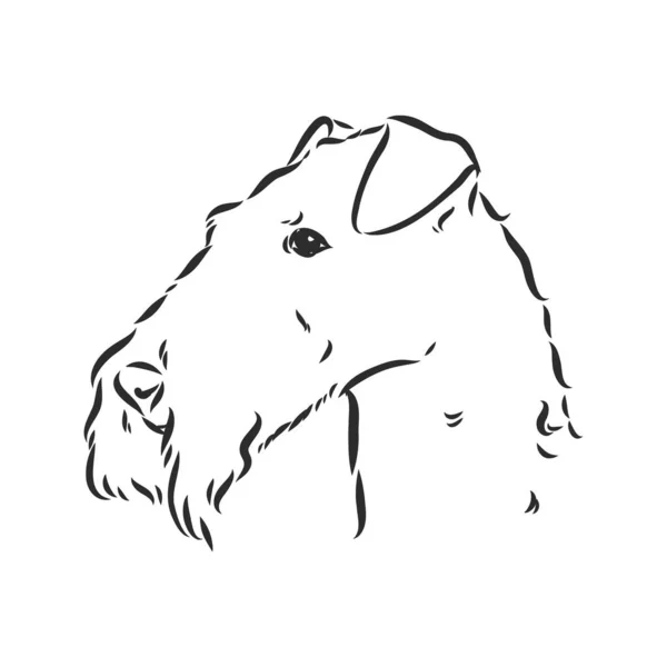 Airedale Terrier Dog. mão desenhada. Ilustração vetorial —  Vetores de Stock