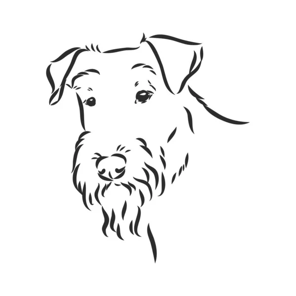 Airedale Terrier Dog. disegnato a mano. Illustrazione vettoriale — Vettoriale Stock