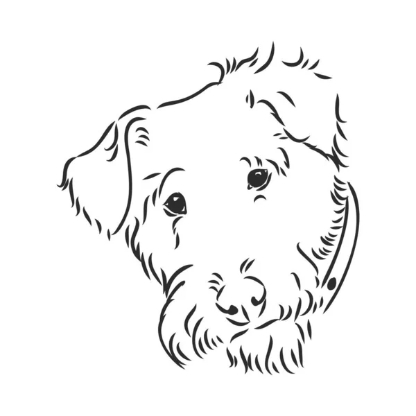 Airedale Terrier Dog. disegnato a mano. Illustrazione vettoriale — Vettoriale Stock