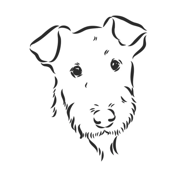 Airedale Terrier Dog. handritad. Vektorillustration — Stock vektor