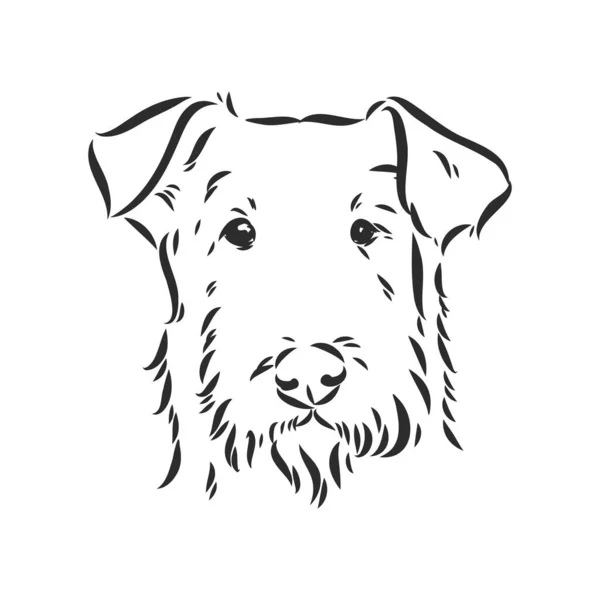 Chien Terrier Airedale. dessiné à la main. Illustration vectorielle — Image vectorielle