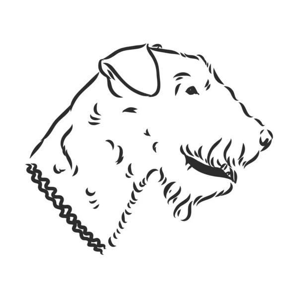 Airedale Terrier Dog. hand getrokken. Vectorillustratie — Stockvector