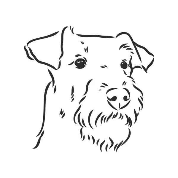 Airedale Terrier Dog. Handgezeichnet. Vektorillustration — Stockvektor