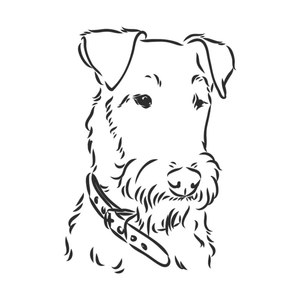 Airedale Terrier Dog. disegnato a mano. Illustrazione vettoriale — Vettoriale Stock