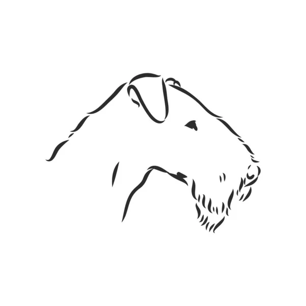 Airedale Terrier Dog. mão desenhada. Ilustração vetorial —  Vetores de Stock