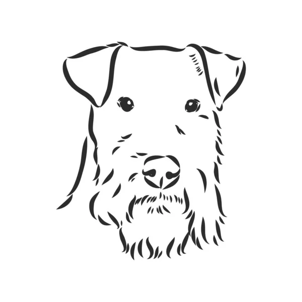 Airedale Terrier Dog. mão desenhada. Ilustração vetorial — Vetor de Stock