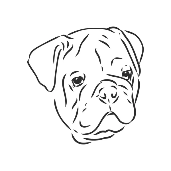 Línea de arte del bulldog francés con tres diferencias de cara — Vector de stock