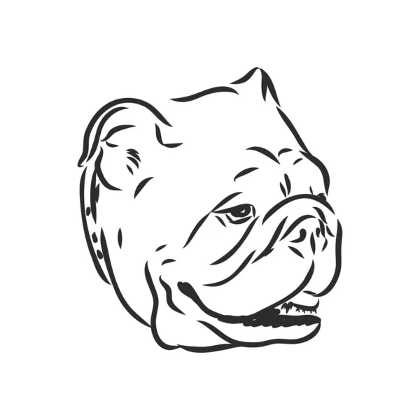 Linjekonst av fransk bulldog med tre olika ansikten — Stock vektor