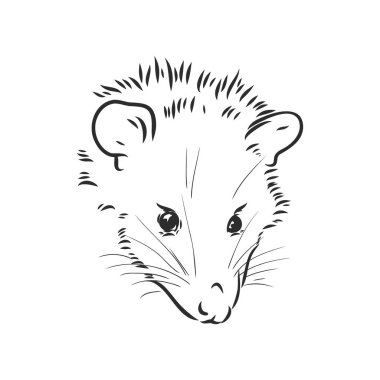 Vektör çizimi keseli sıçan ağzı keseli sıçan vektör illüstrasyonu