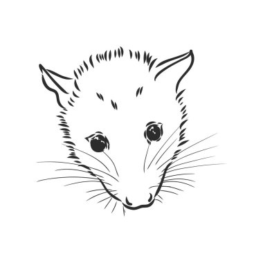 Vektör çizimi keseli sıçan ağzı keseli sıçan vektör illüstrasyonu