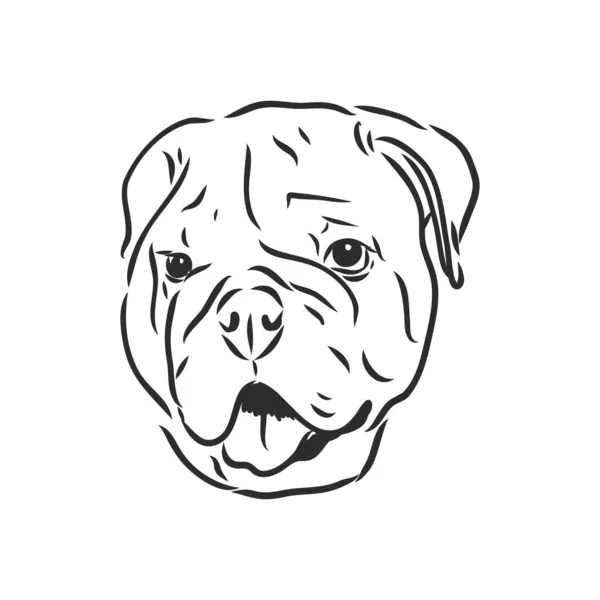 Arte de linha de bulldog francês com três diferenças de rosto — Vetor de Stock