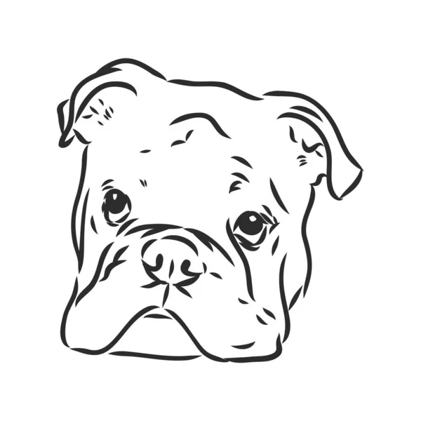 Linienkunst der französischen Bulldogge mit drei Gesichtsunterschieden — Stockvektor