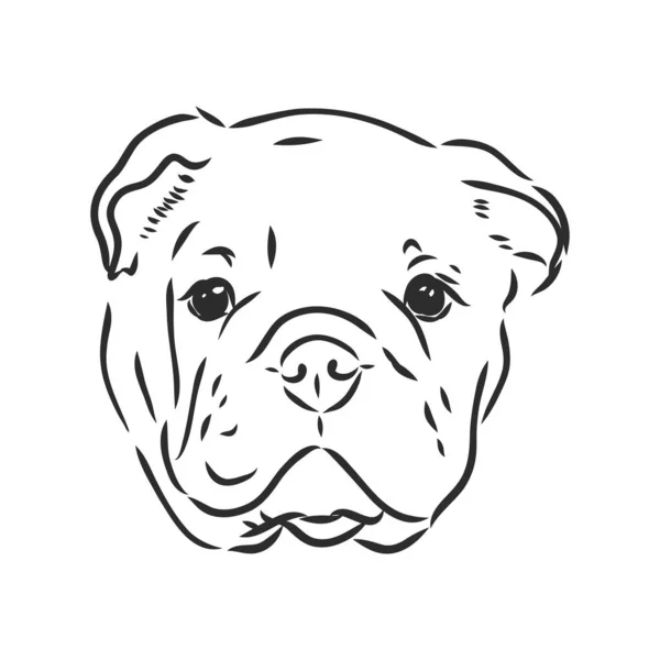 Línea de arte del bulldog francés con tres diferencias de cara — Archivo Imágenes Vectoriales