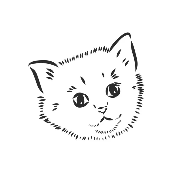 Boceto vectorial de una cara estilizada de gatitos — Vector de stock