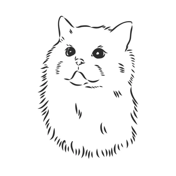 Il gatto logo vettoriale per il disegno del tatuaggio o T-shirt o outwear. Carino stile di stampa gatto sfondo. — Vettoriale Stock