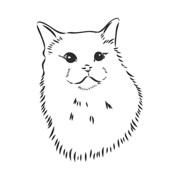 Il gatto logo vettoriale per il disegno del tatuaggio o T-shirt o outwear. Carino stile di stampa gatto sfondo. — Vettoriale Stock