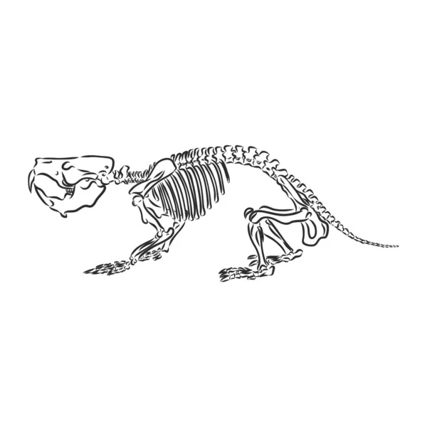 Grafiska triceratops isolerad på vit bakgrund, vektor illustration för utskrift — Stock vektor