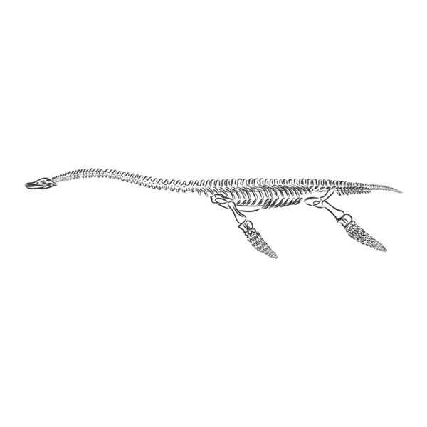 Triceratops gráficos aislados sobre fondo blanco, ilustración vectorial para imprimir — Archivo Imágenes Vectoriales