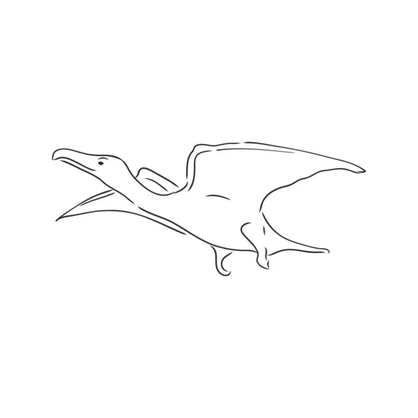 Desenho à mão, vetor, esboço ilustração de pterodáctilo — Vetor de Stock