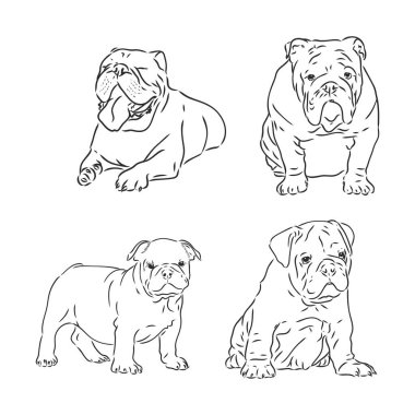 Köpek karakterleri karalama İngiliz bulldog 'u. İzole edilmiş komik hayvanlar.