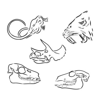 Dinozor ve fosil iskeletlerinden oluşan siluetler. El çizimi vektör çizimi. Erkek ve çocuk siluetleri, boyutların karşılaştırılması, gerçekçi boyutlar..