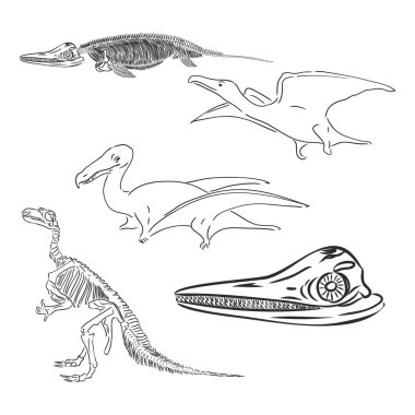 Dinozor ve fosil iskeletlerinden oluşan siluetler. El çizimi vektör çizimi. Erkek ve çocuk siluetleri, boyutların karşılaştırılması, gerçekçi boyutlar..