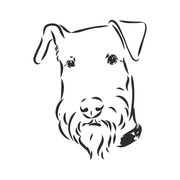 Airedale Terrier Dog. disegnato a mano. Illustrazione vettoriale — Vettoriale Stock